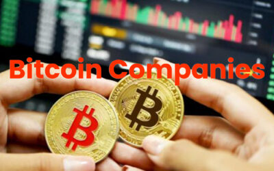 Bitcoin Company Scam